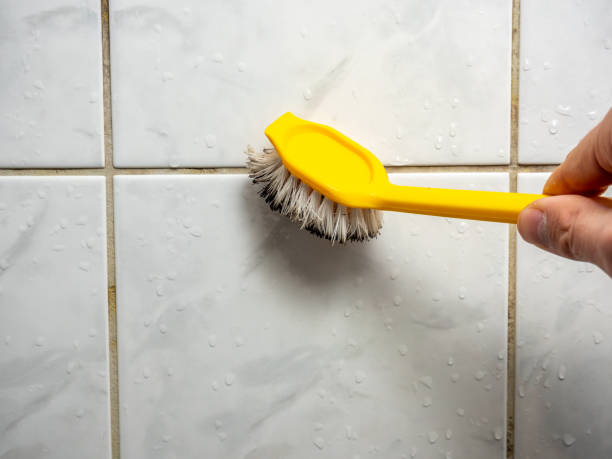 Best Office Mold Removal Services  in Jefferson, LA